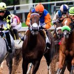 As 5 regras de ouro para apostas em corridas de cavalos