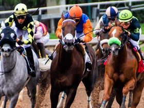 As 5 regras de ouro para apostas em corridas de cavalos
